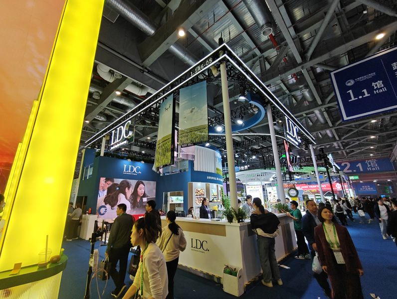 奧地利展臺設(shè)計(jì)搭建